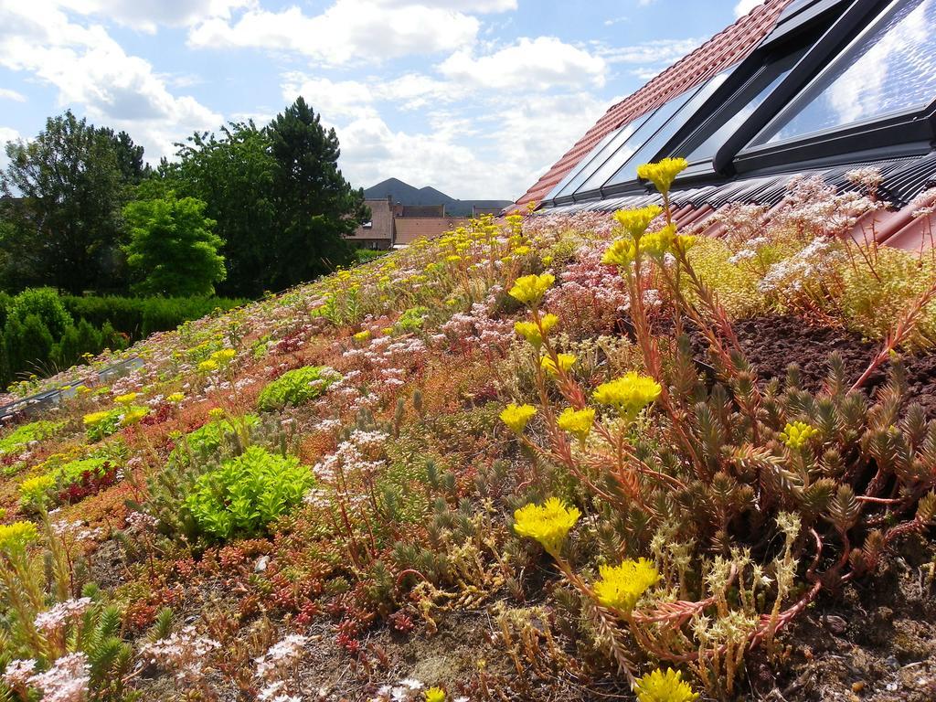 Fleur De Ciel Villa Loos-en-Gohelle ภายนอก รูปภาพ