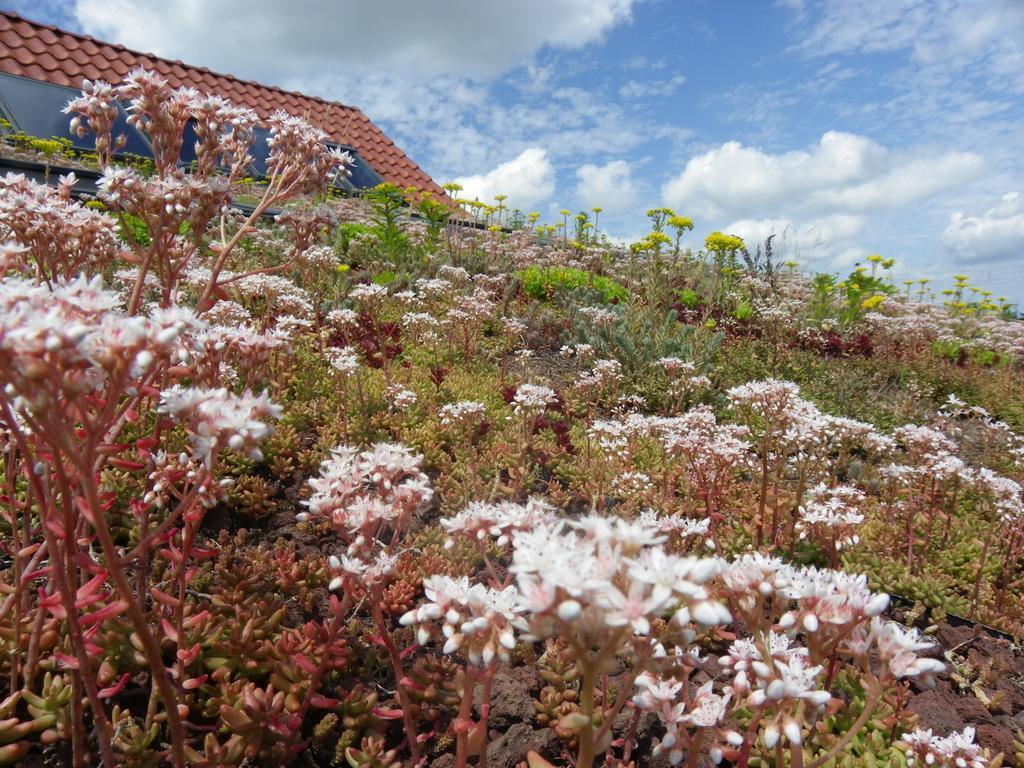 Fleur De Ciel Villa Loos-en-Gohelle ภายนอก รูปภาพ