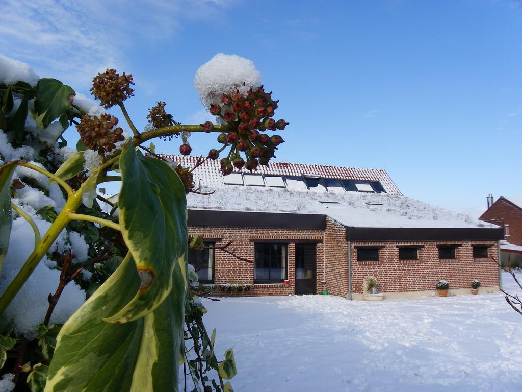 Fleur De Ciel Villa Loos-en-Gohelle ภายนอก รูปภาพ