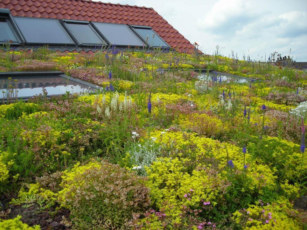 Fleur De Ciel Villa Loos-en-Gohelle ภายนอก รูปภาพ